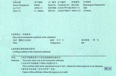 力学成人午夜黄色视频证书报告说明页图片